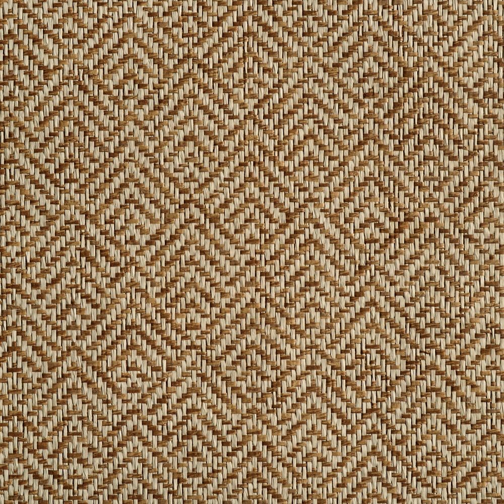 caneplexus wallpapers W77