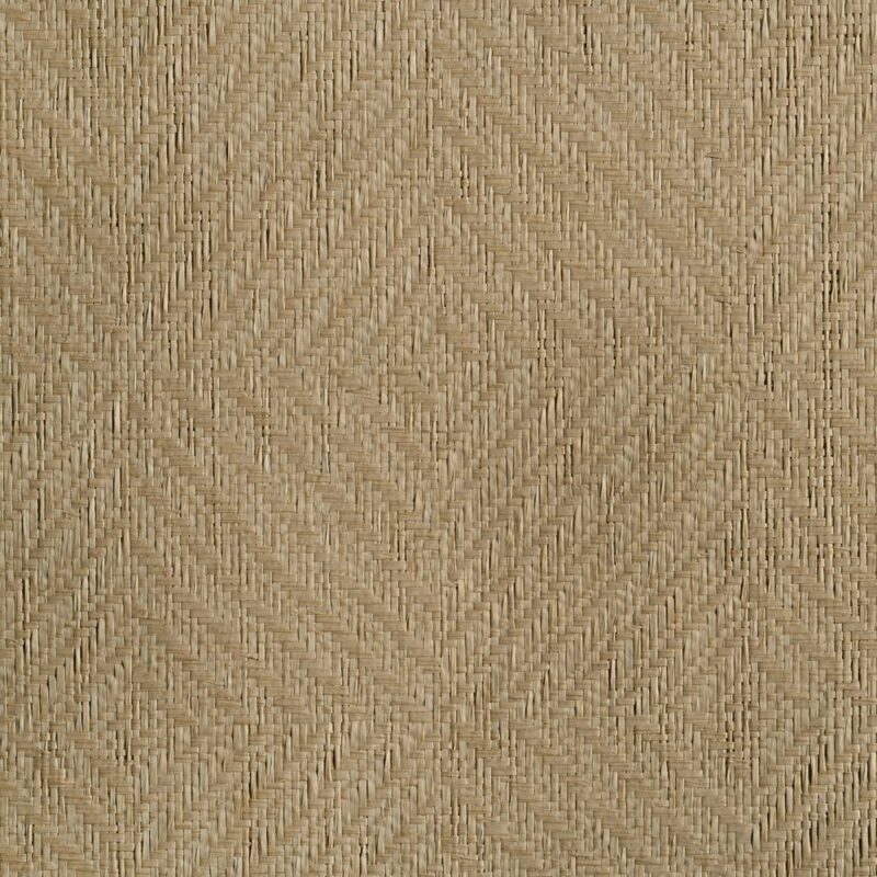 caneplexus wallpapers W78