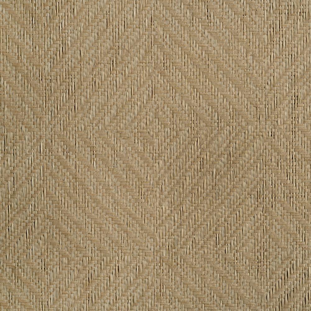 caneplexus wallpapers W78