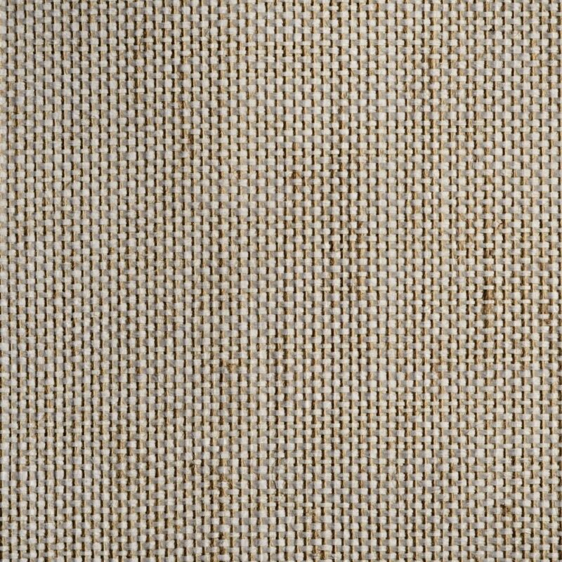 caneplexus wallpapers W79