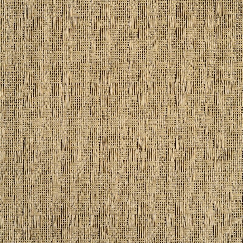 caneplexus wallpapers W80