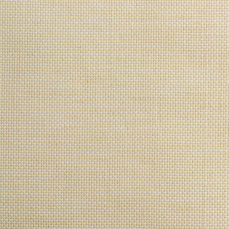 caneplexus wallpapers W83