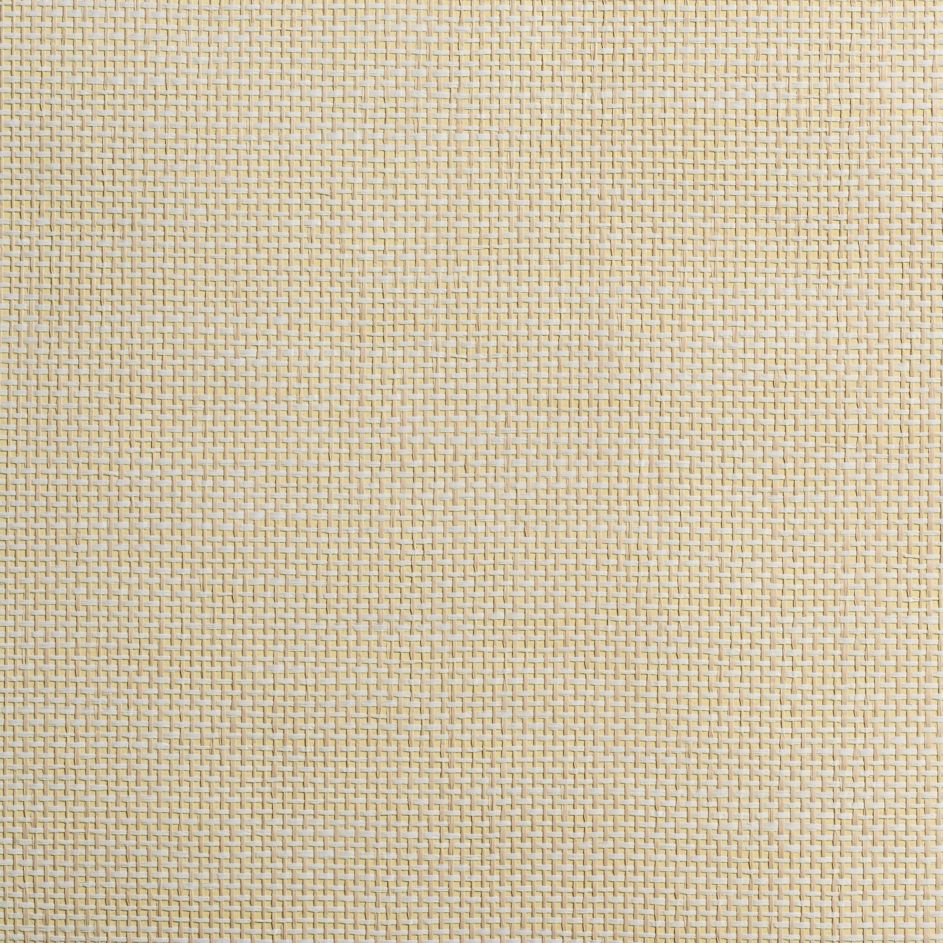 caneplexus wallpapers W83