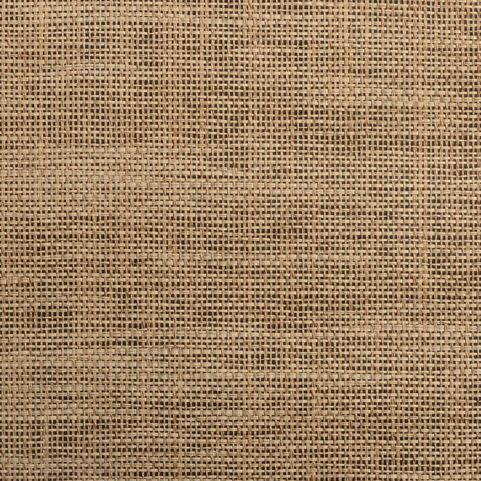 caneplexus wallpapers W85