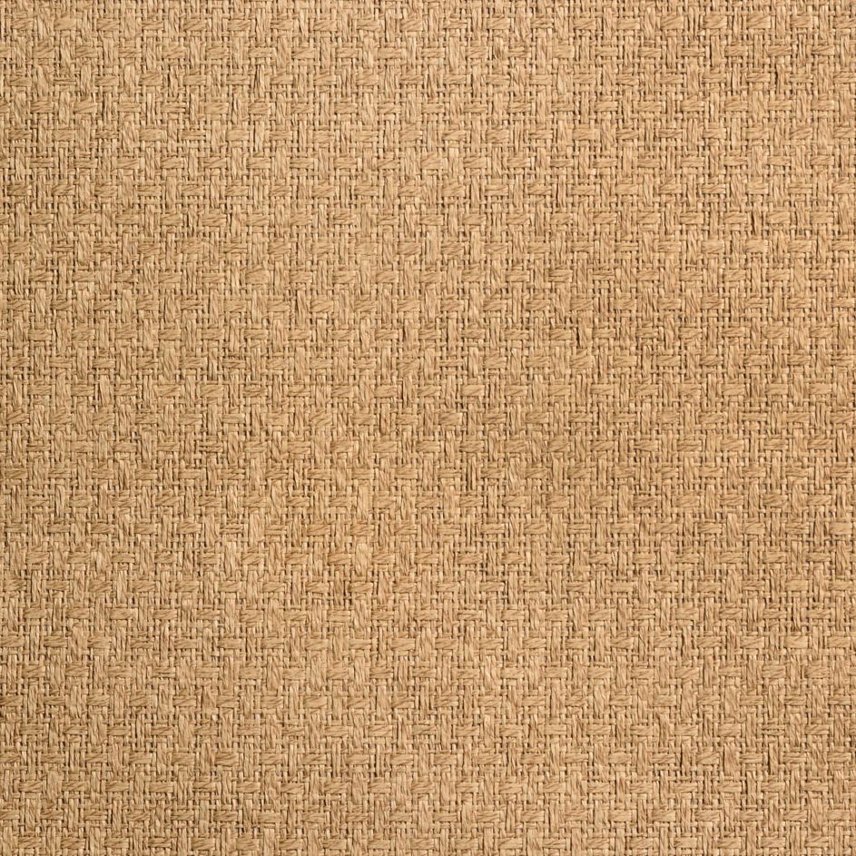 caneplexus wallpapers W86