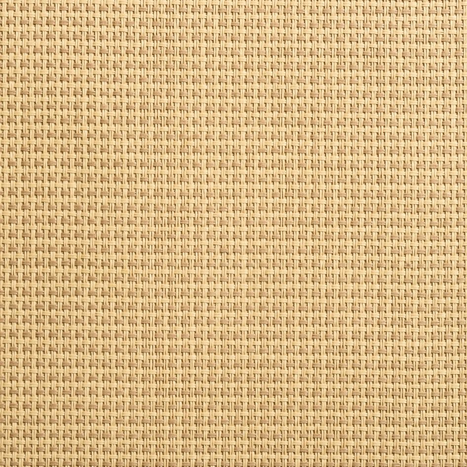 caneplexus wallpapers W87