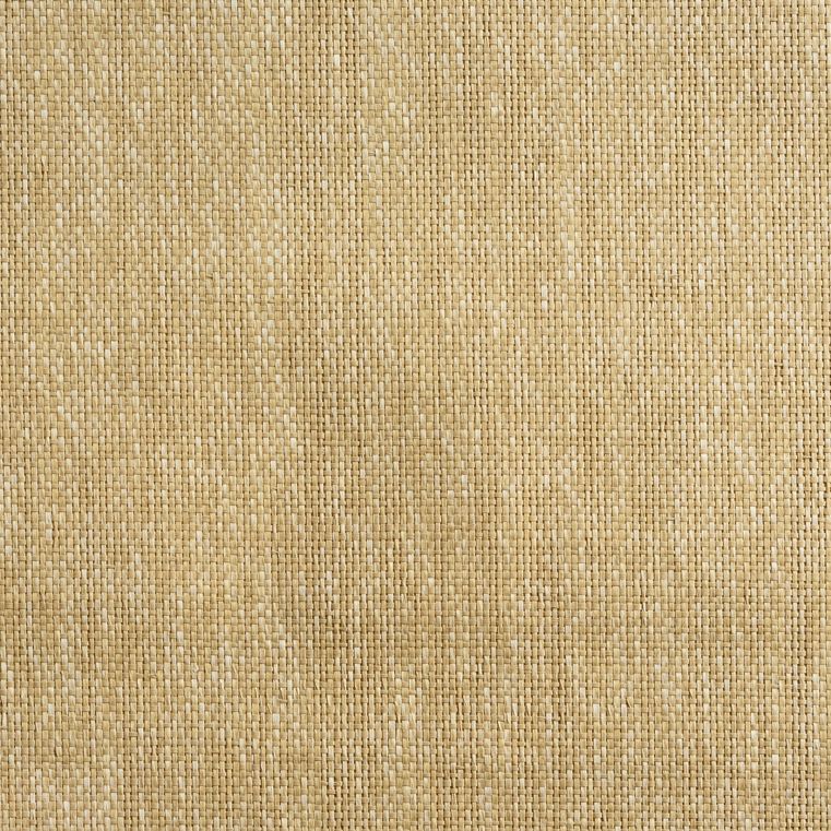 caneplexus wallpapers W88