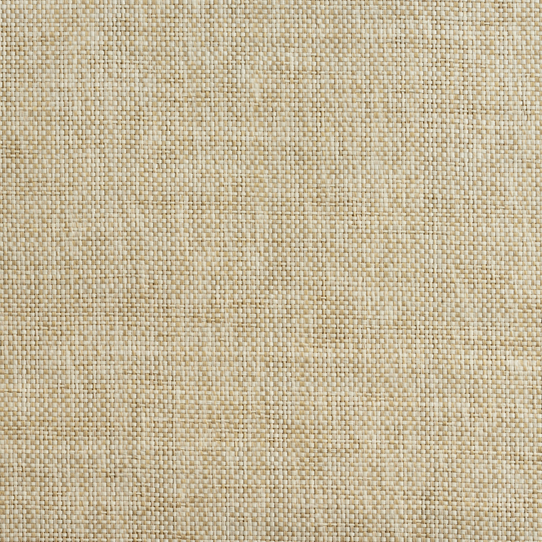 caneplexus wallpapers W89