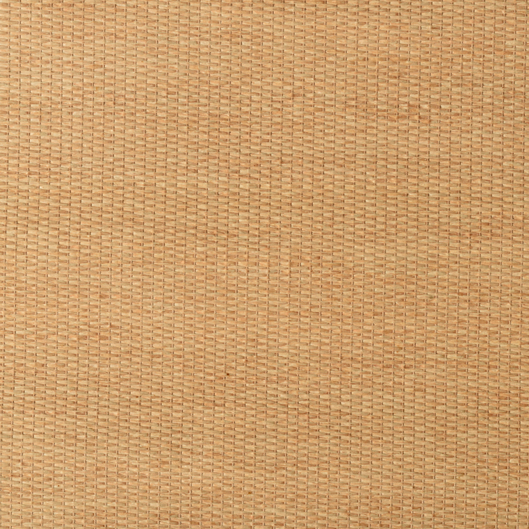 caneplexus wallpapers W90