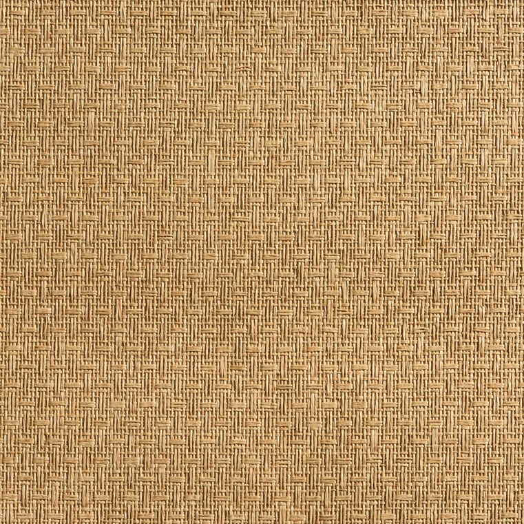 caneplexus wallpapers W92