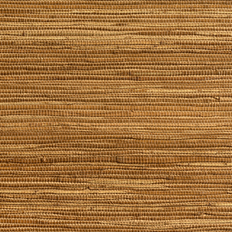 caneplexus wallpapers W95