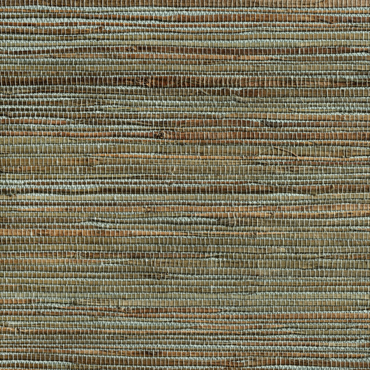 caneplexus wallpapers W96