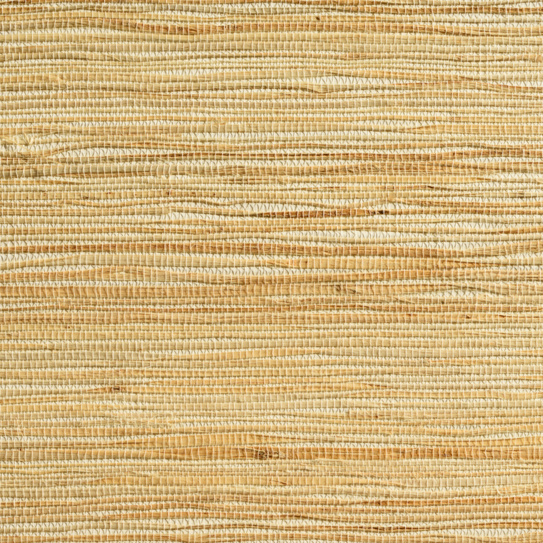 caneplexus wallpapers W97