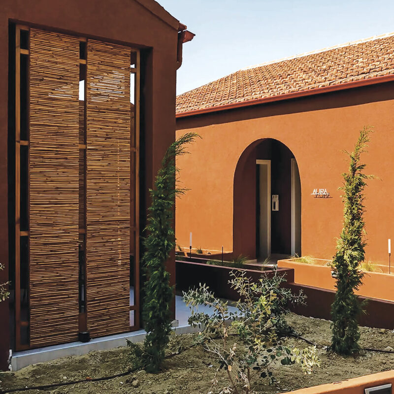 Material: Bamboo Tonkin <br> Diameter: 12-18 mm