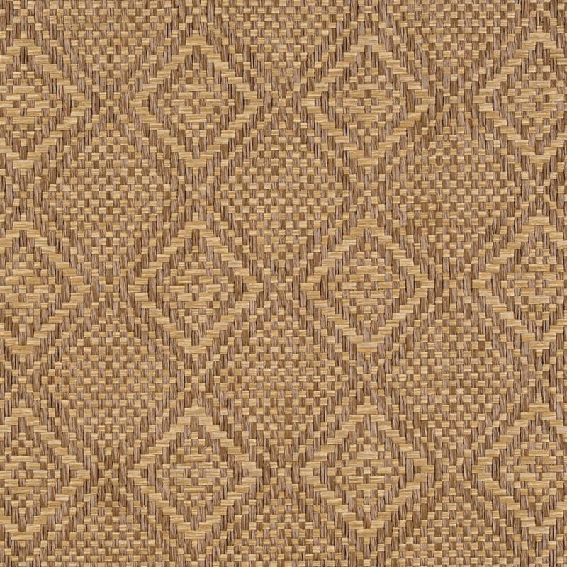 caneplexus-wallpapers-W254