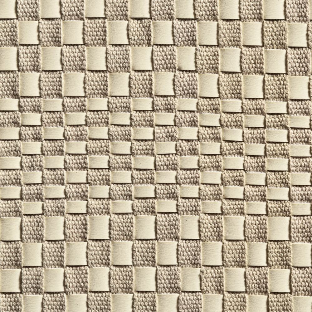 caneplexus-wallpapers-W1311-ID3038