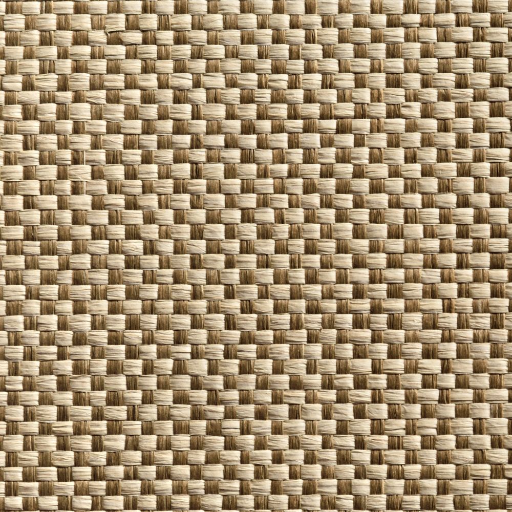 caneplexus-wallpapers-W314-ID2994
